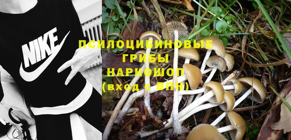прущая мука Абинск