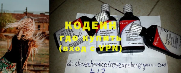 дурь Пересвет
