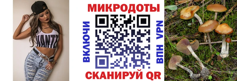 Галлюциногенные грибы MAGIC MUSHROOMS продажа наркотиков Ступино